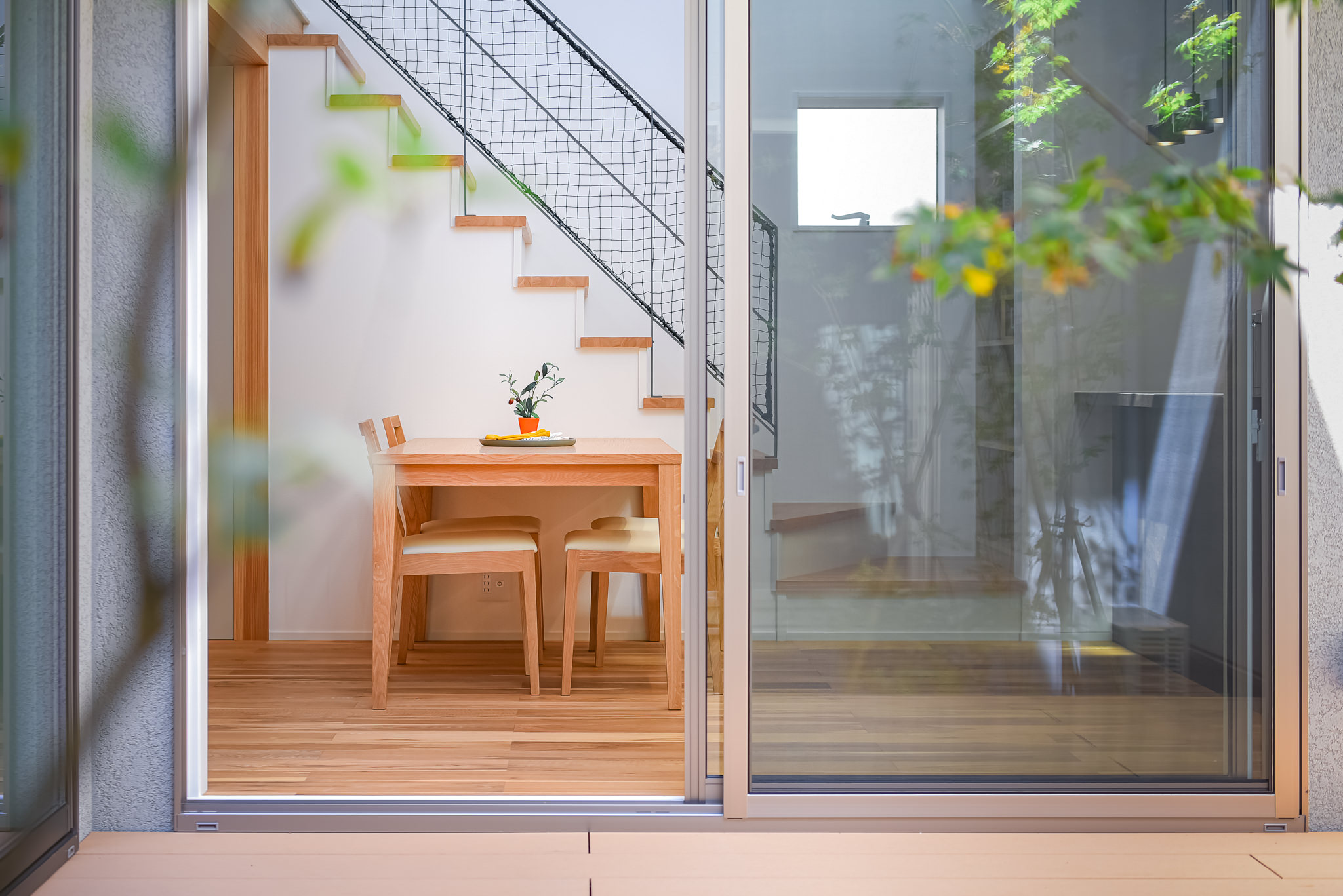 新居 希（あらい のぞみ）