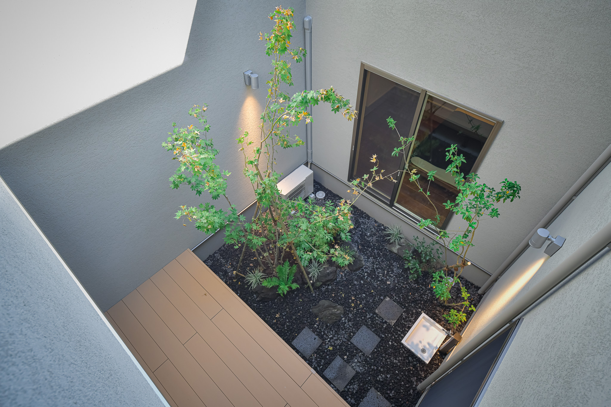 新居 希（あらい のぞみ）